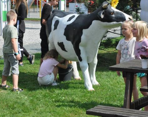 DSC   kopia  Copy  304