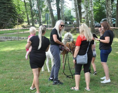 DSC   kopia   kopia  Copy  313