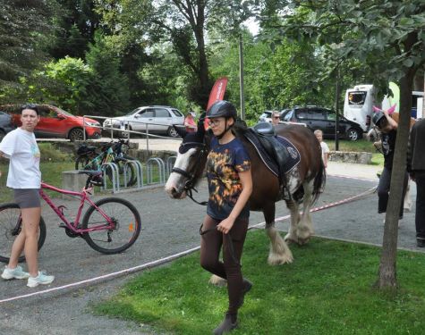 DSC   kopia   kopia  Copy  317