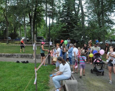 DSC   kopia   kopia  Copy  325