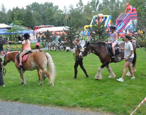 DSC   kopia  Copy  333