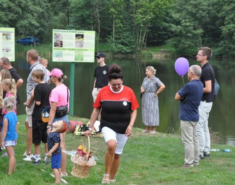 DSC   kopia  Copy  341